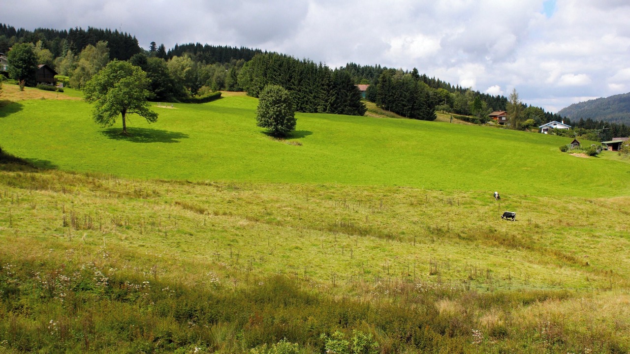 Photo of Outdoor in Xonrupt-Longemer