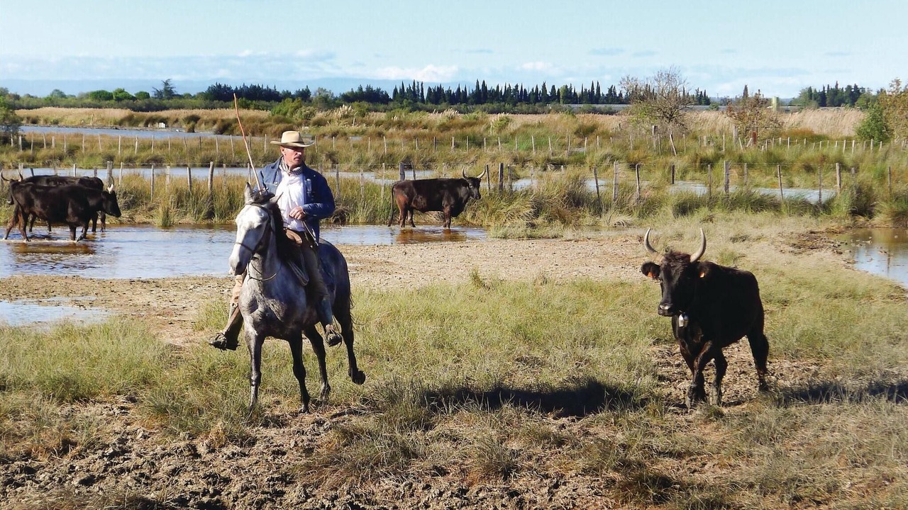 Photo of Others in Aigues-Mortes