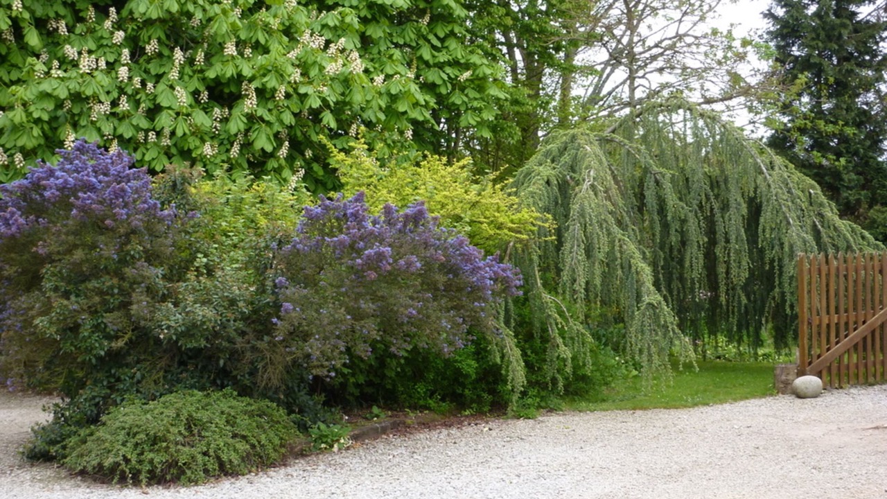 Photo of Outdoor in Couville
