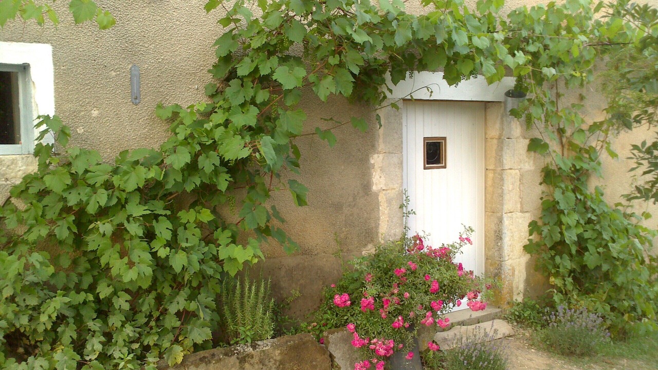 Photo of Outdoor in Carlux