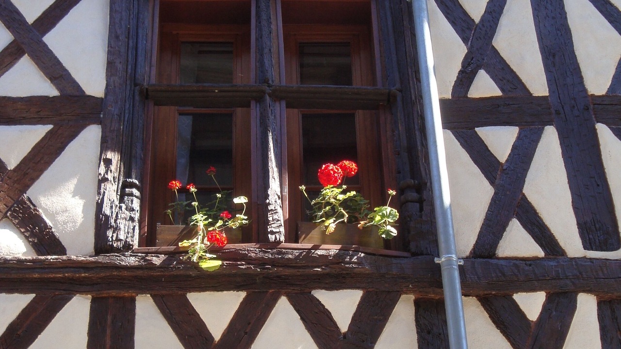 Photo of Others in Beaulieu-sur-Dordogne