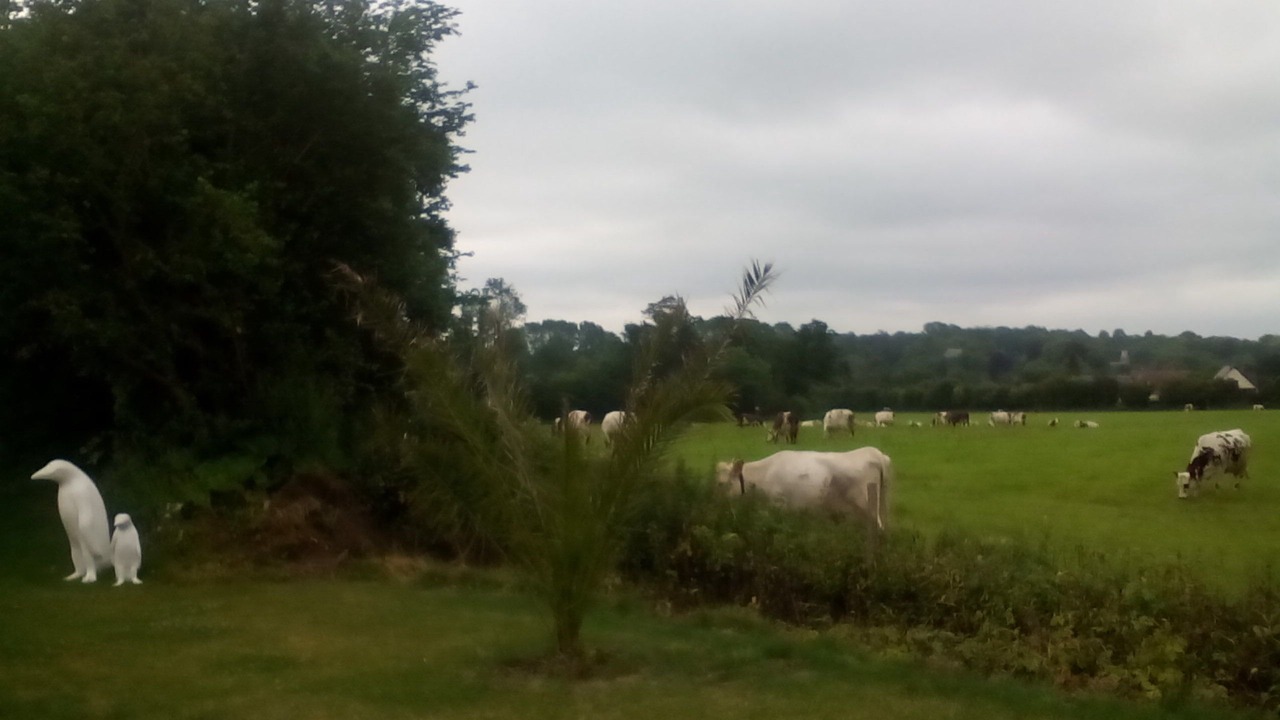 Photo of Others in Vaux-sur-Aure