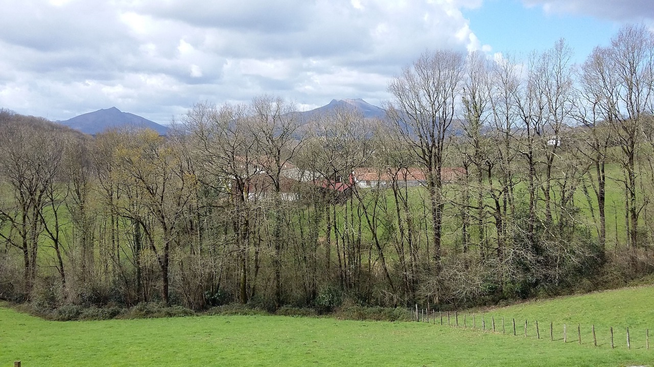 Photo of Outdoor in Ainhoa