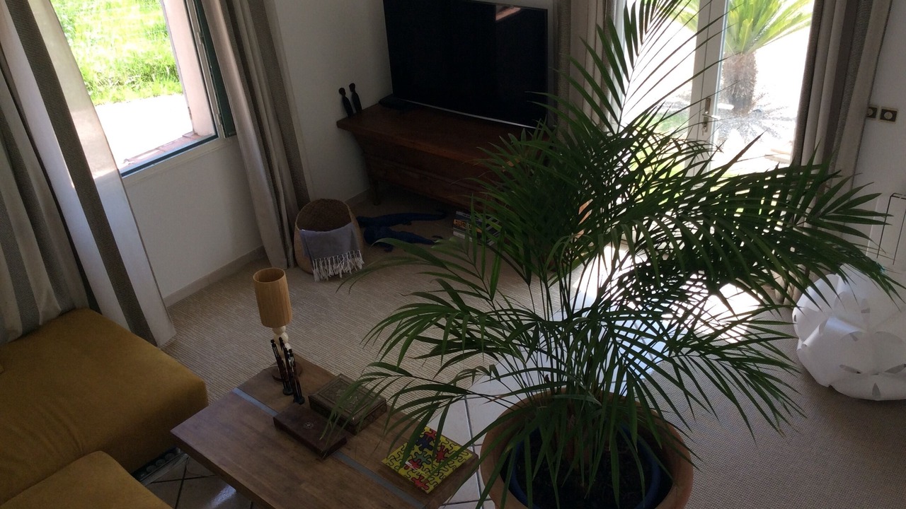 Photo of Livingroom in Figarella