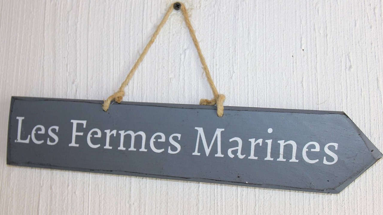 Photo of Others in Bretignolles-sur-Mer