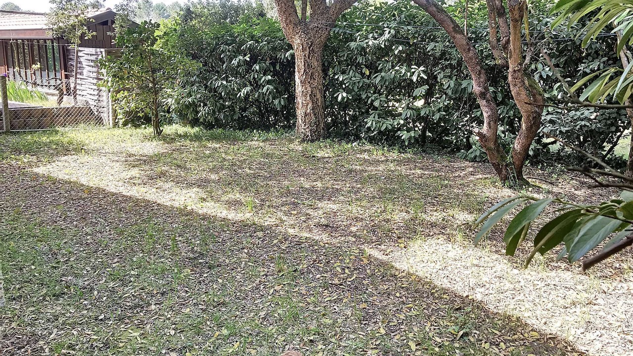 Photo of Outdoor in Messanges