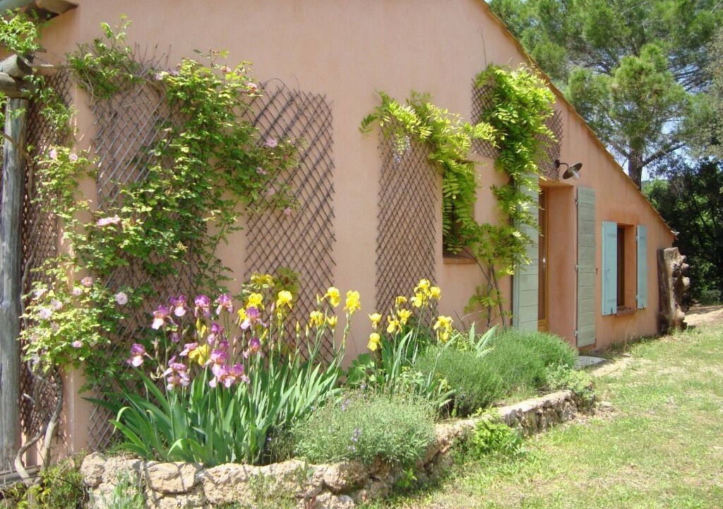 Photo of Outdoor in Salernes