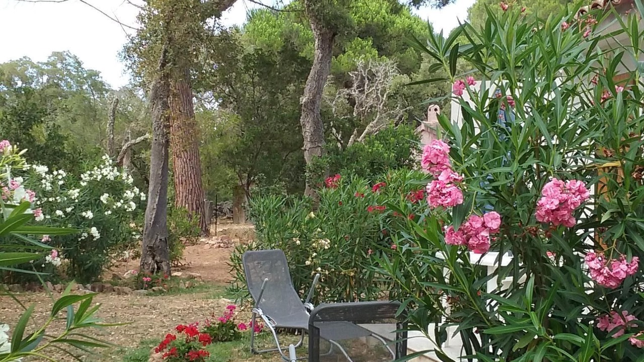 Photo of Outdoor in Hameau de Palombaggia
