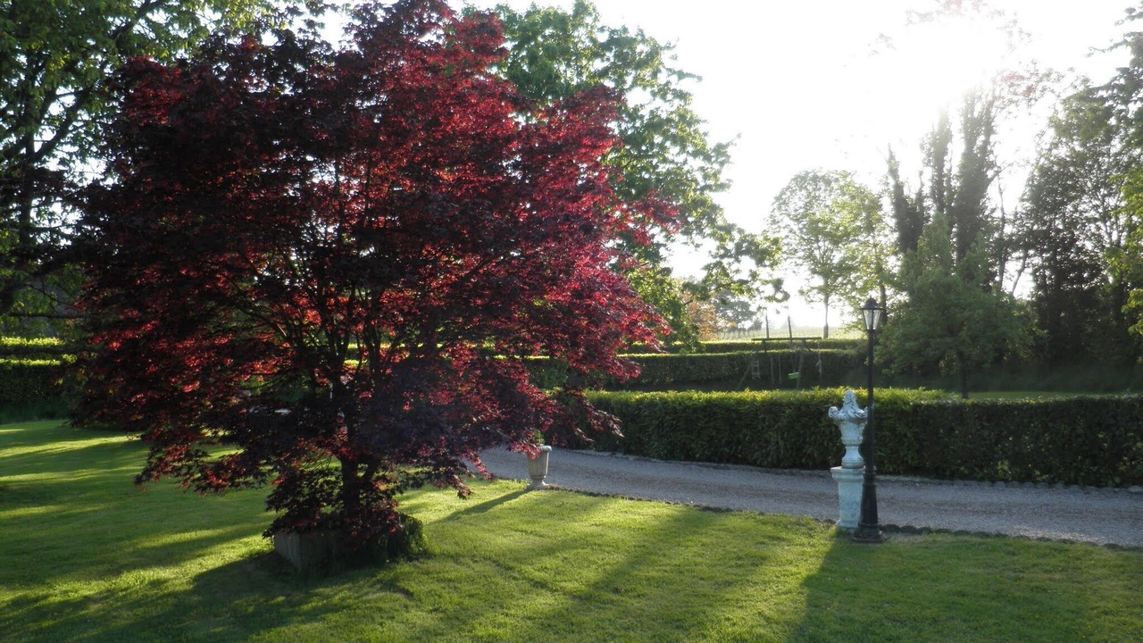 Photo of Outdoor in Moyaux