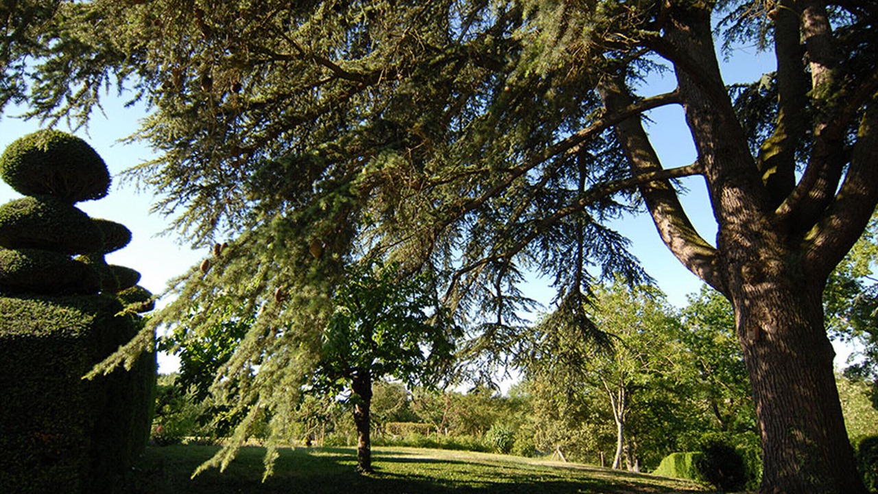 Photo of Outdoor in Cangey