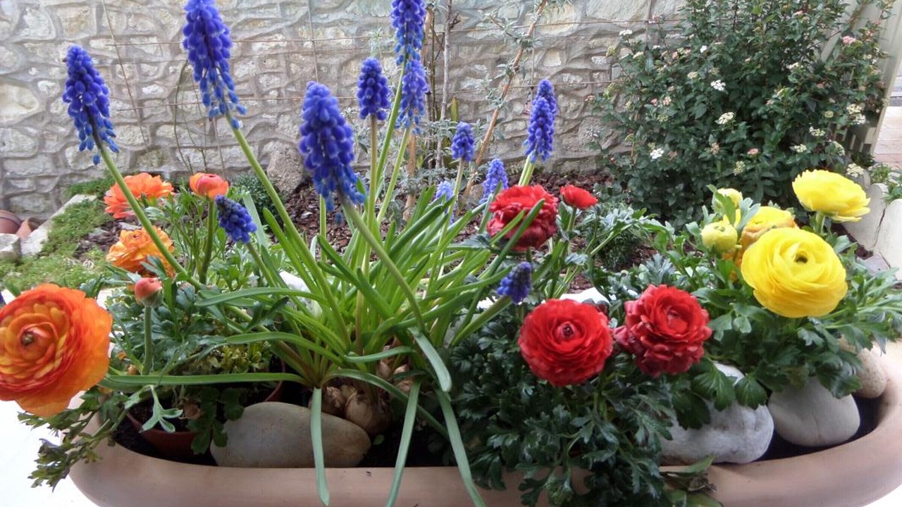 Photo of Outdoor in Cravant-les-Coteaux