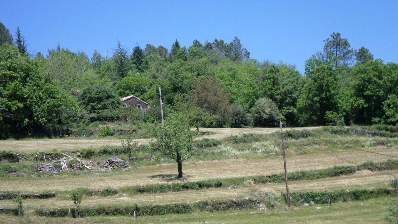 Photo of Outdoor in Charnavas