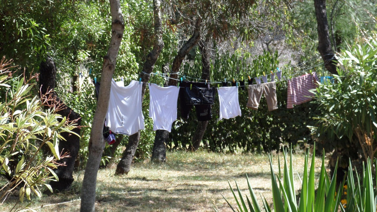 Photo of Outdoor in Cargese