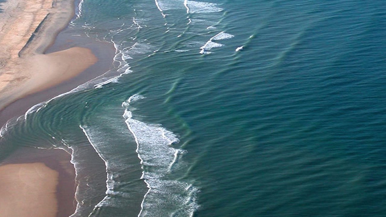 Photo of Others in Lacanau-Ocean