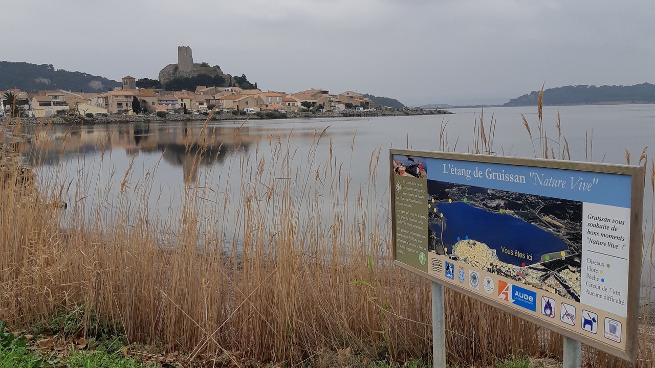 Photo of Others in Gruissan