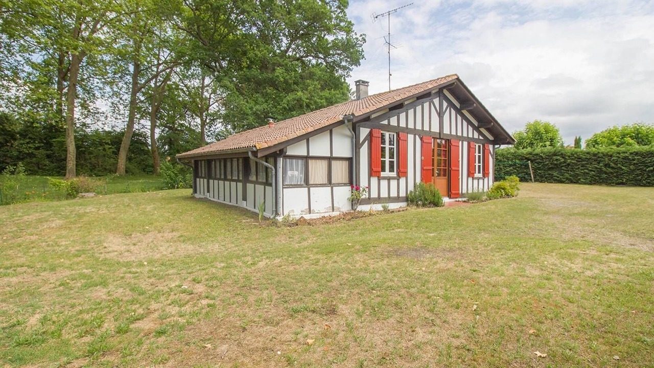 Photo of Outdoor in Bias