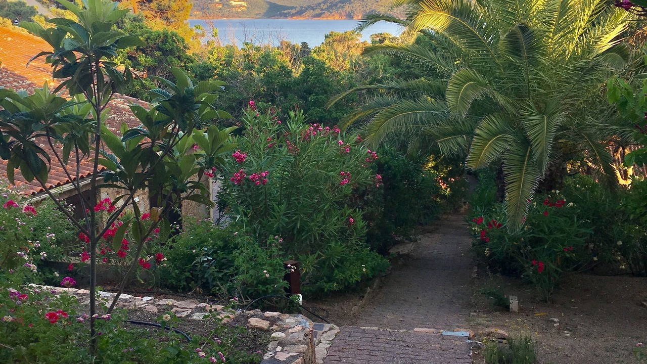 Photo of Outdoor in Lecci