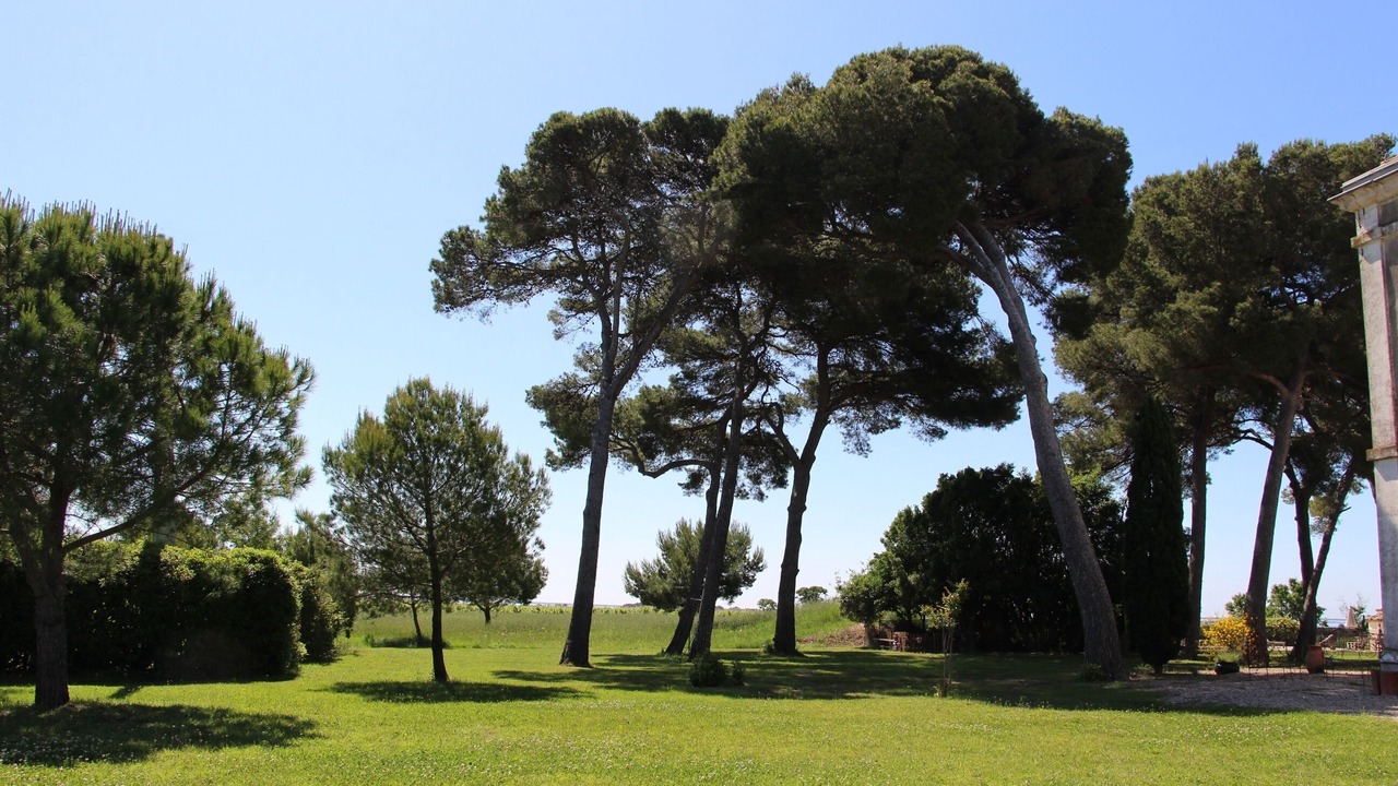 Photo of Others in Marseillan