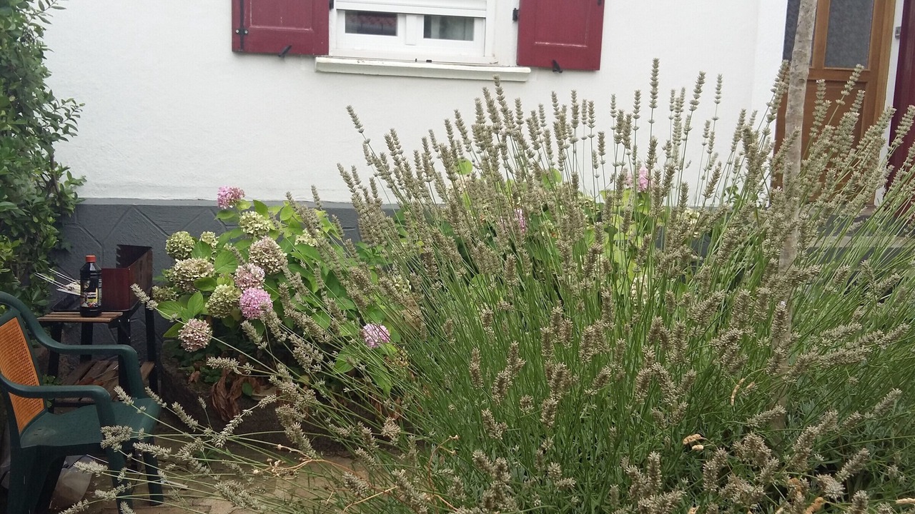 Photo of Outdoor in Lamalou-les-Bains