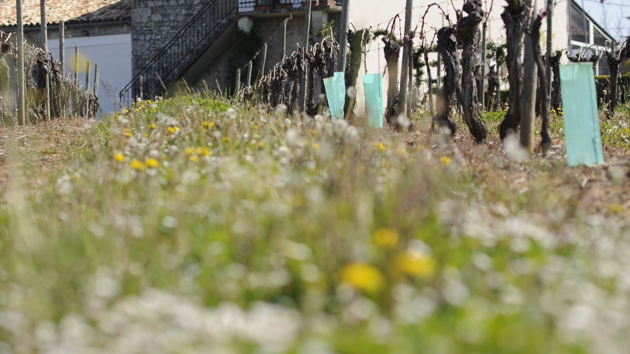 Photo of Outdoor in Margueron