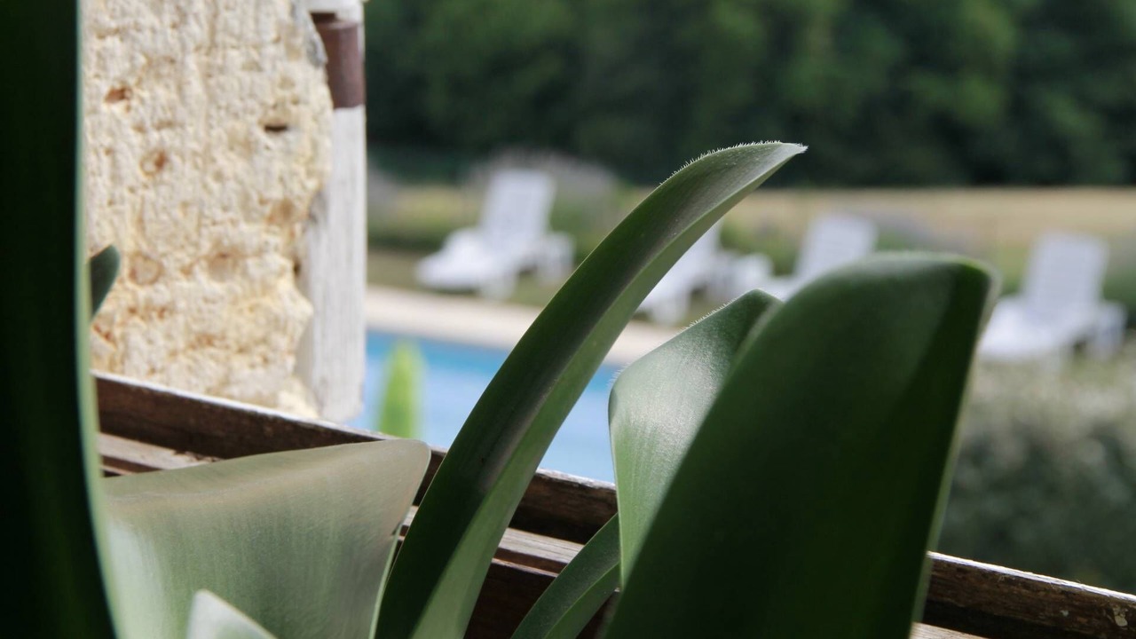 Photo of Outdoor in Sauveterre-la-Lemance
