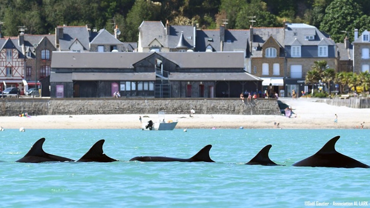 Photo of Others in Cancale