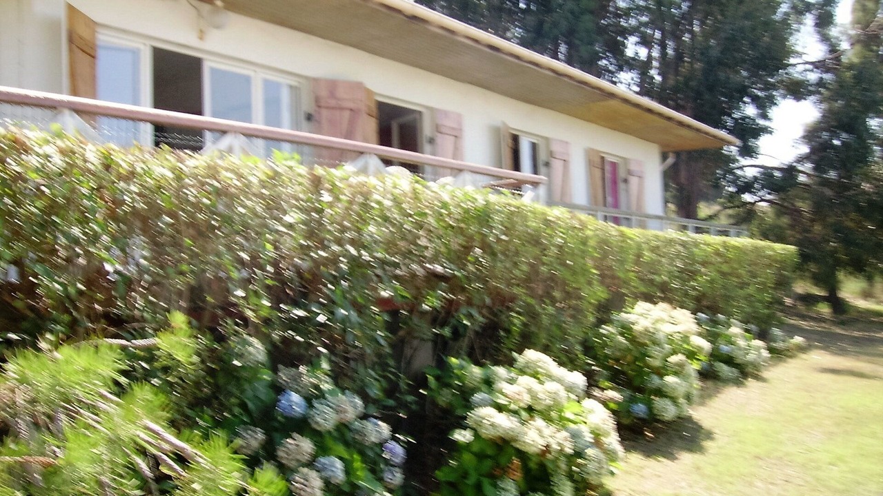 Photo of Outdoor in Porticcio