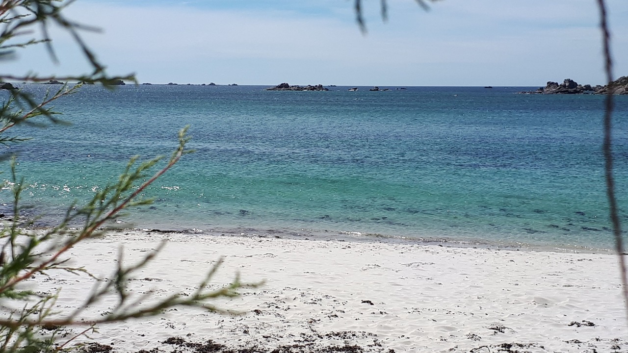 Photo of Others in Roscoff