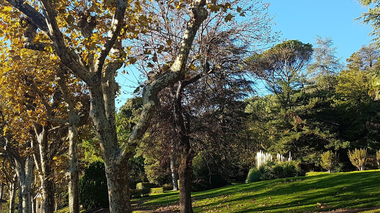 Photo of Outdoor in Lamalou-les-Bains