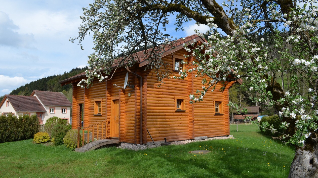 Photo of Outdoor in Sapois