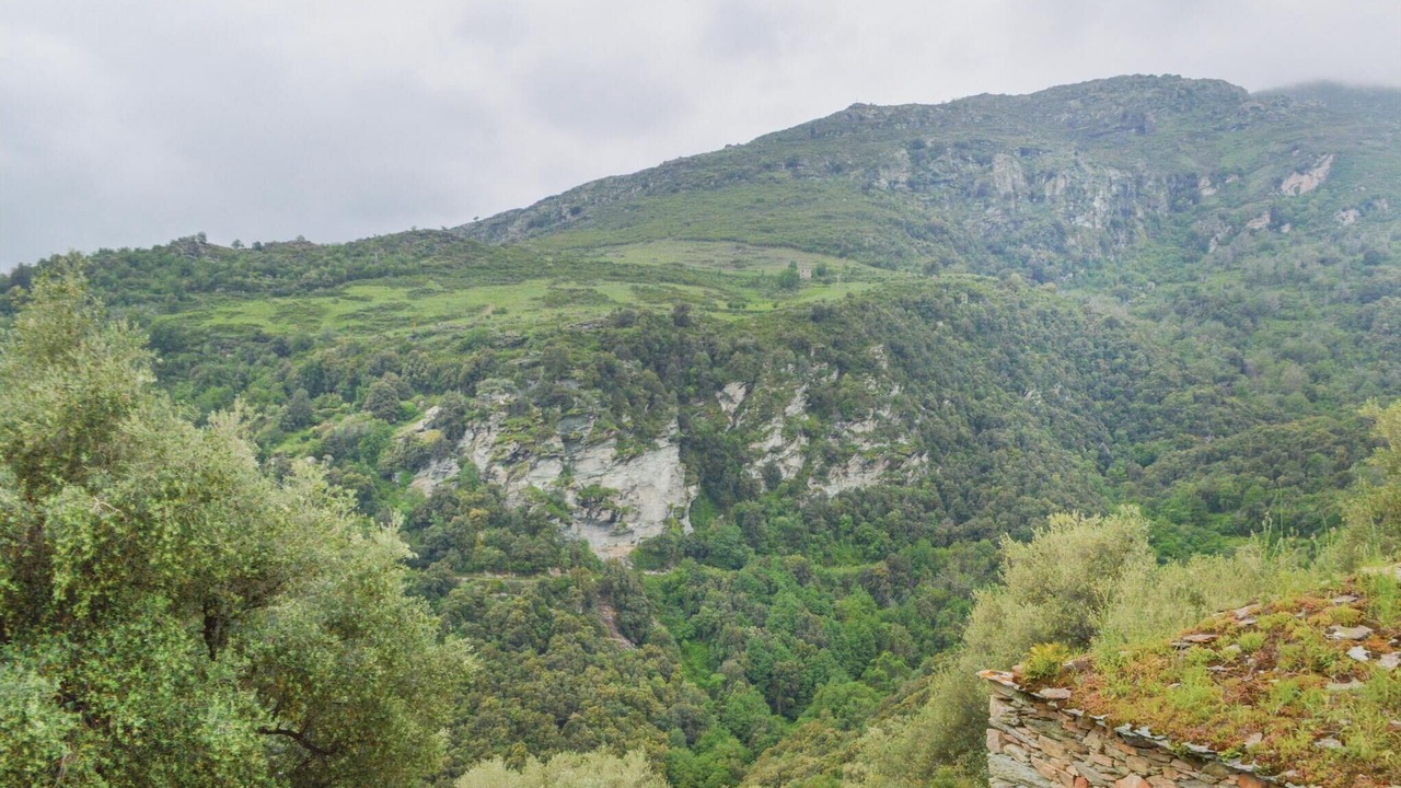 Photo of Others in Santo-Pietro-di-Tenda