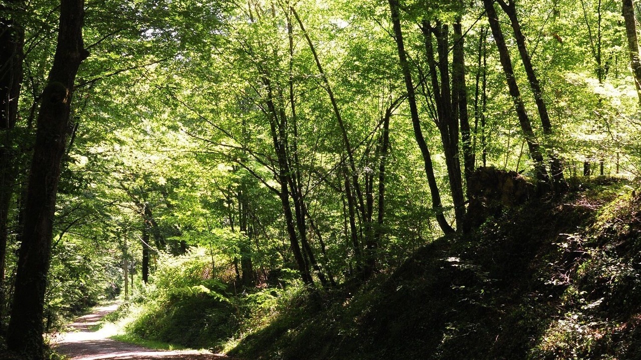 Photo of Outdoor in Haux