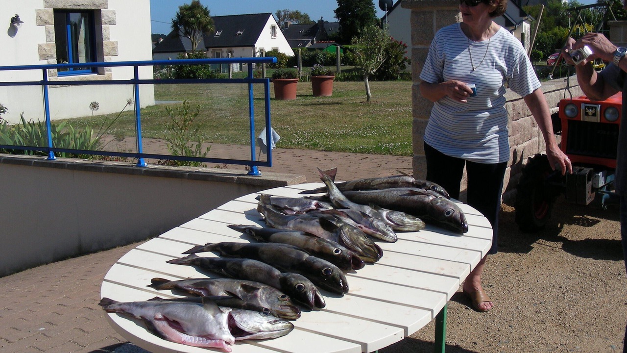 Photo of Others in Lanmodez