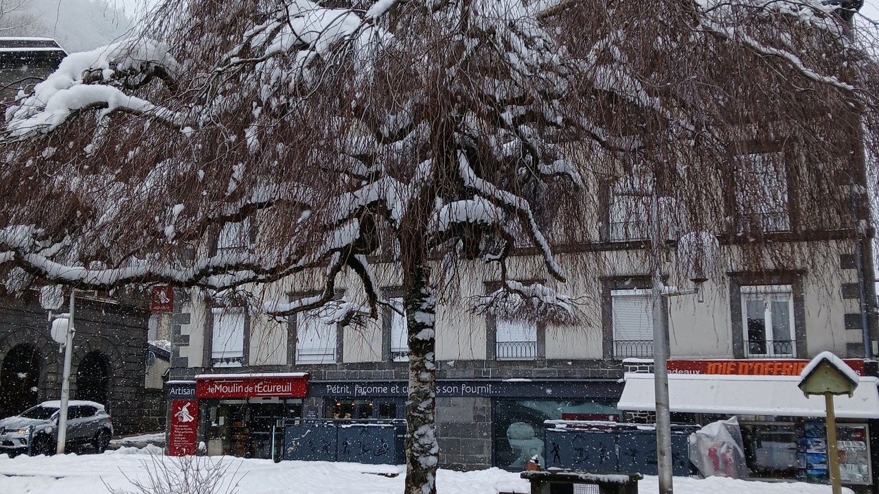 Photo of Others in Mont-Dore
