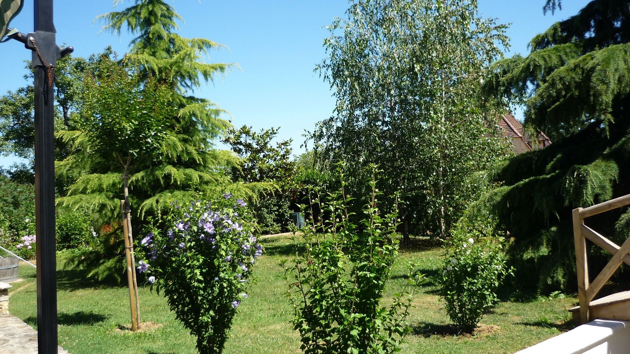 Photo of Outdoor in Saint-Martial-de-Nabirat