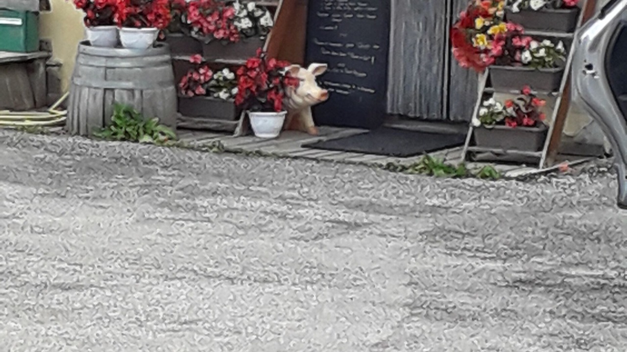 Photo of Outdoor in Arvieux