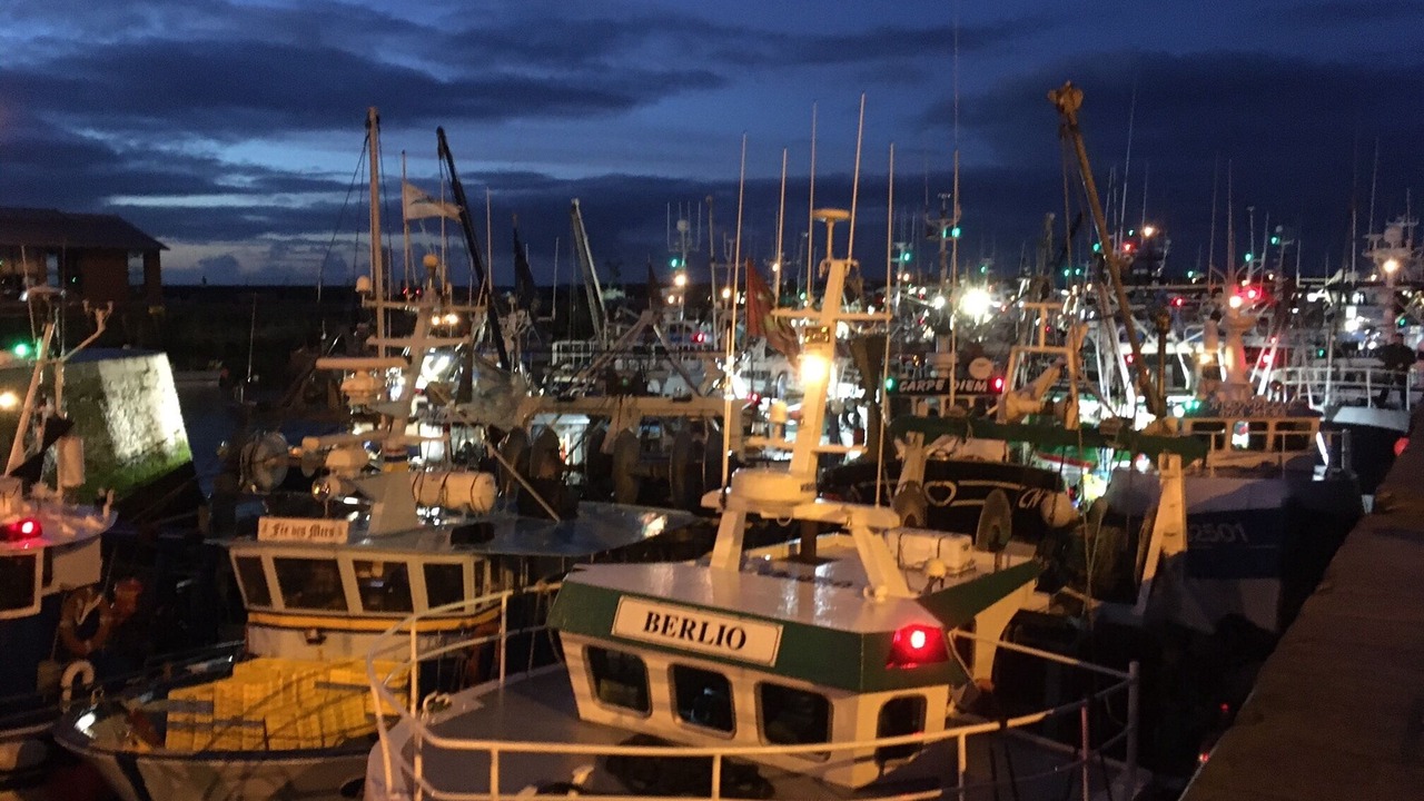 Photo of Others in Port-en-Bessin-Huppain