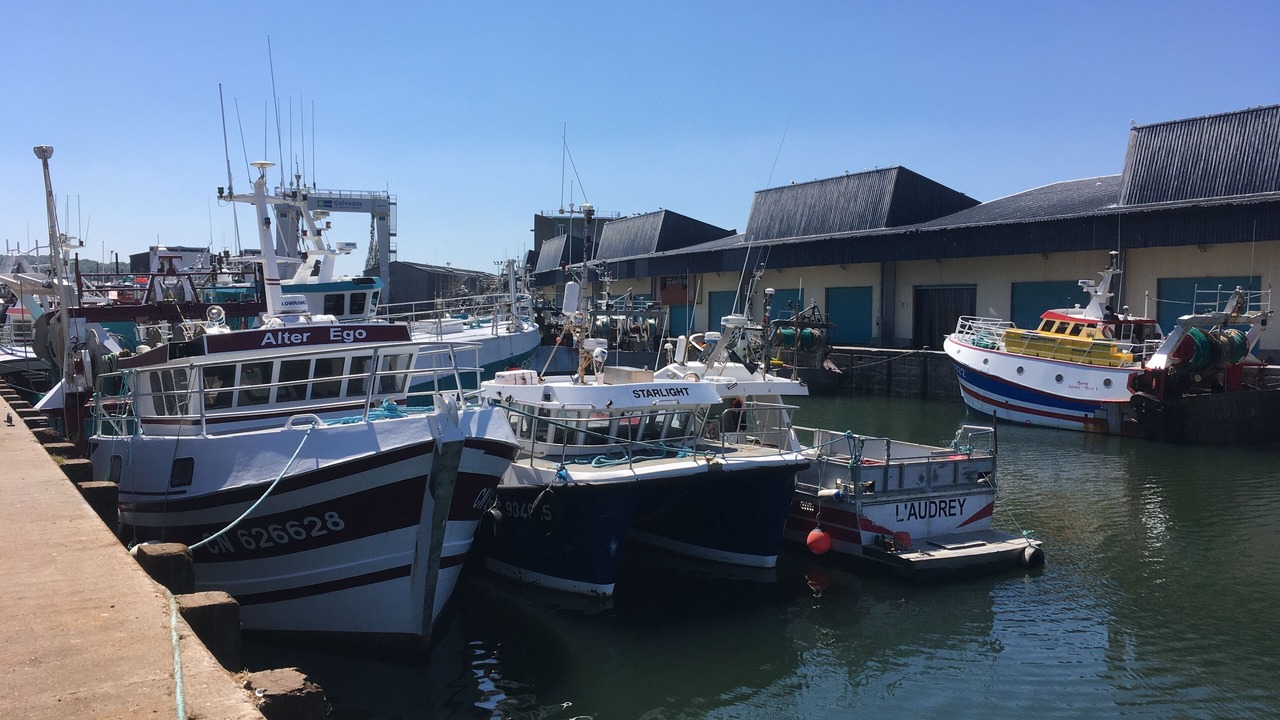 Photo of Others in Port-en-Bessin-Huppain