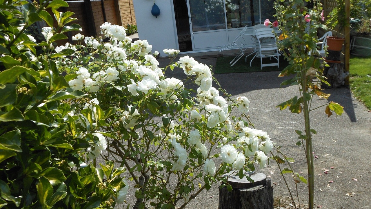 Photo of Outdoor in Sene