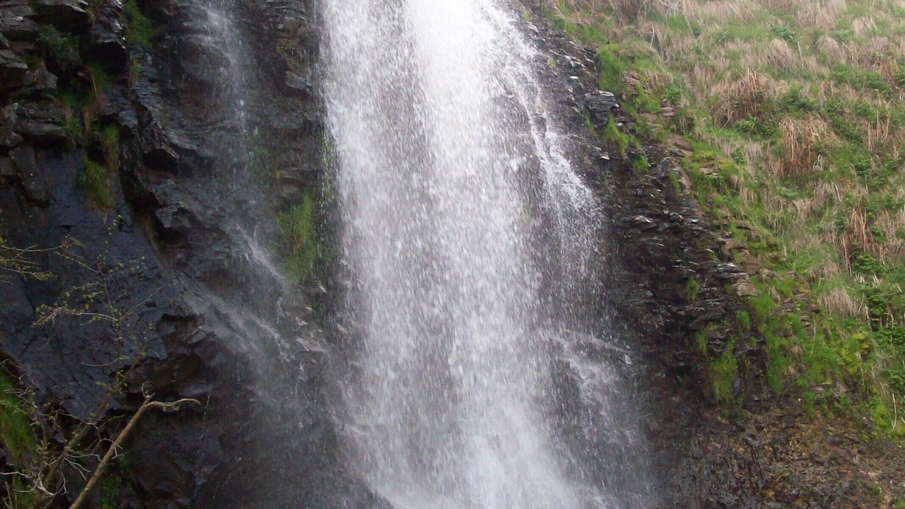 Photo of Others in Picherande