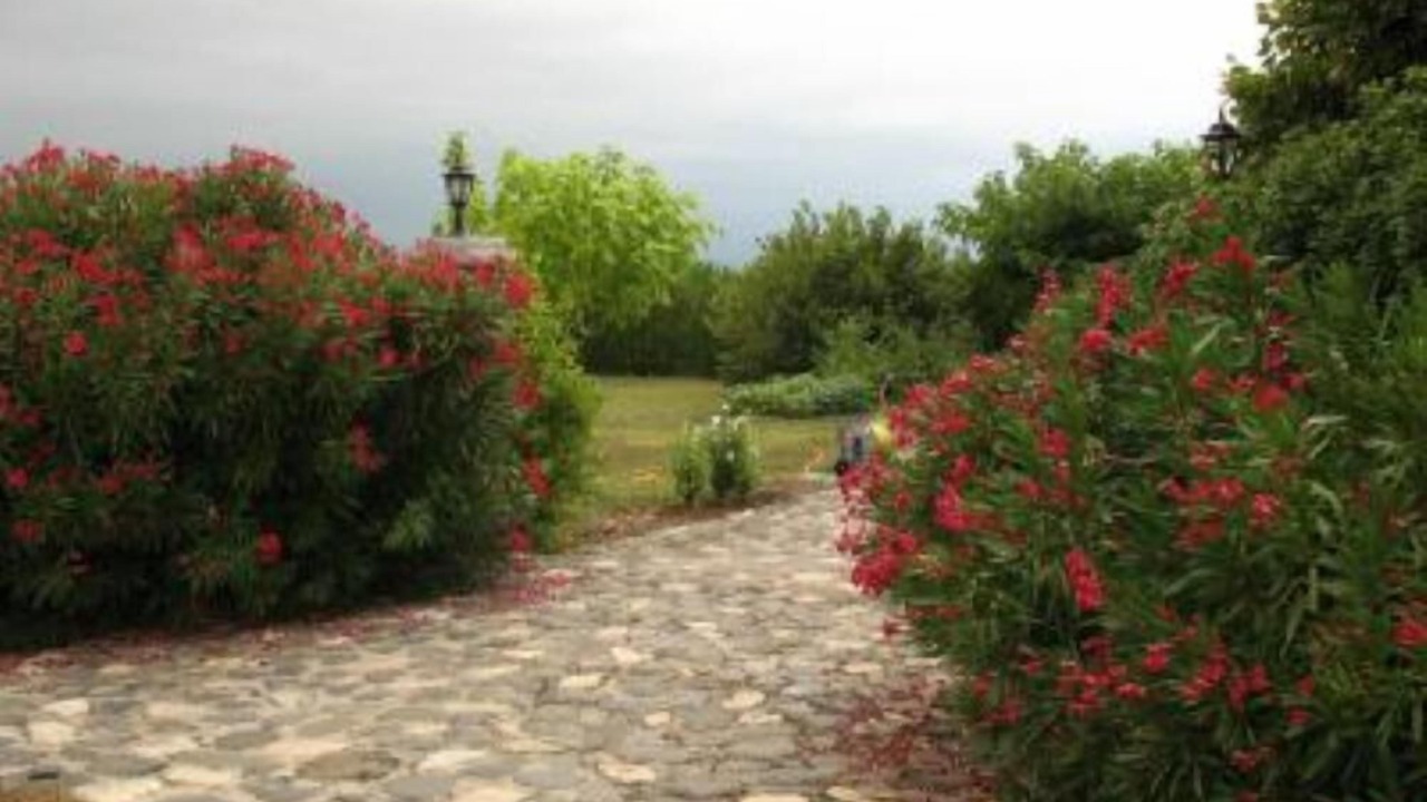 Photo of Outdoor in Rochecolombe