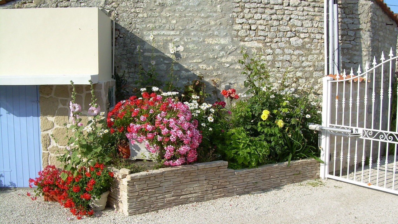 Photo of Outdoor in Saint-Pierre-d'Oleron