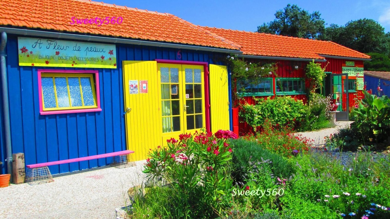 Photo of Outdoor in Saint-Pierre-d'Oleron