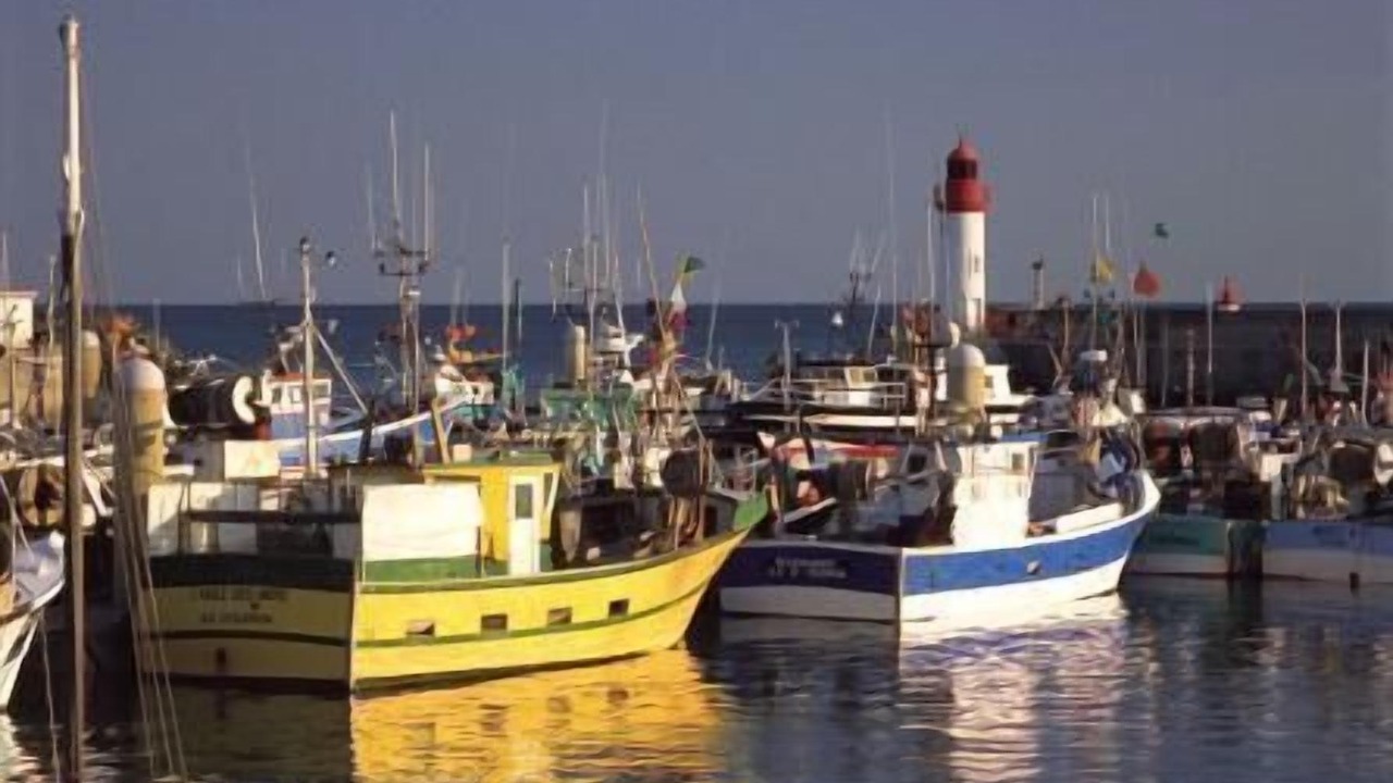 Photo of Others in Saint-Pierre-d'Oleron