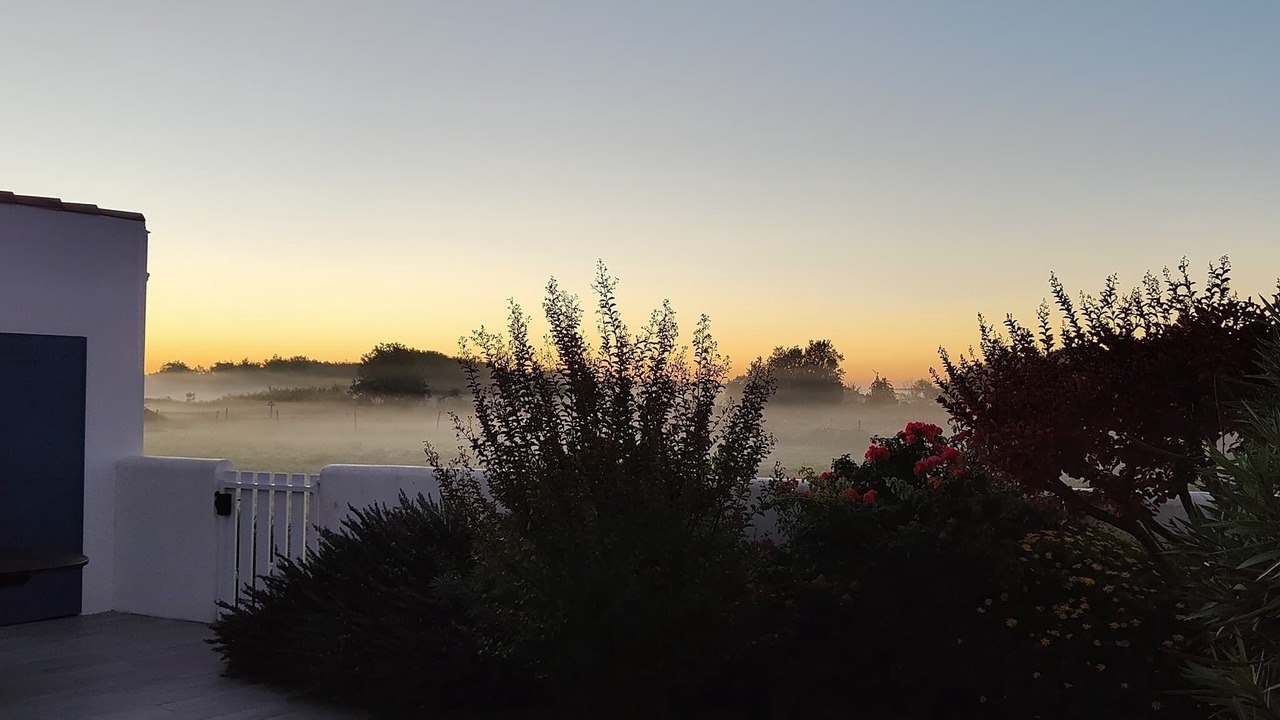 Photo of Outdoor in Cheray