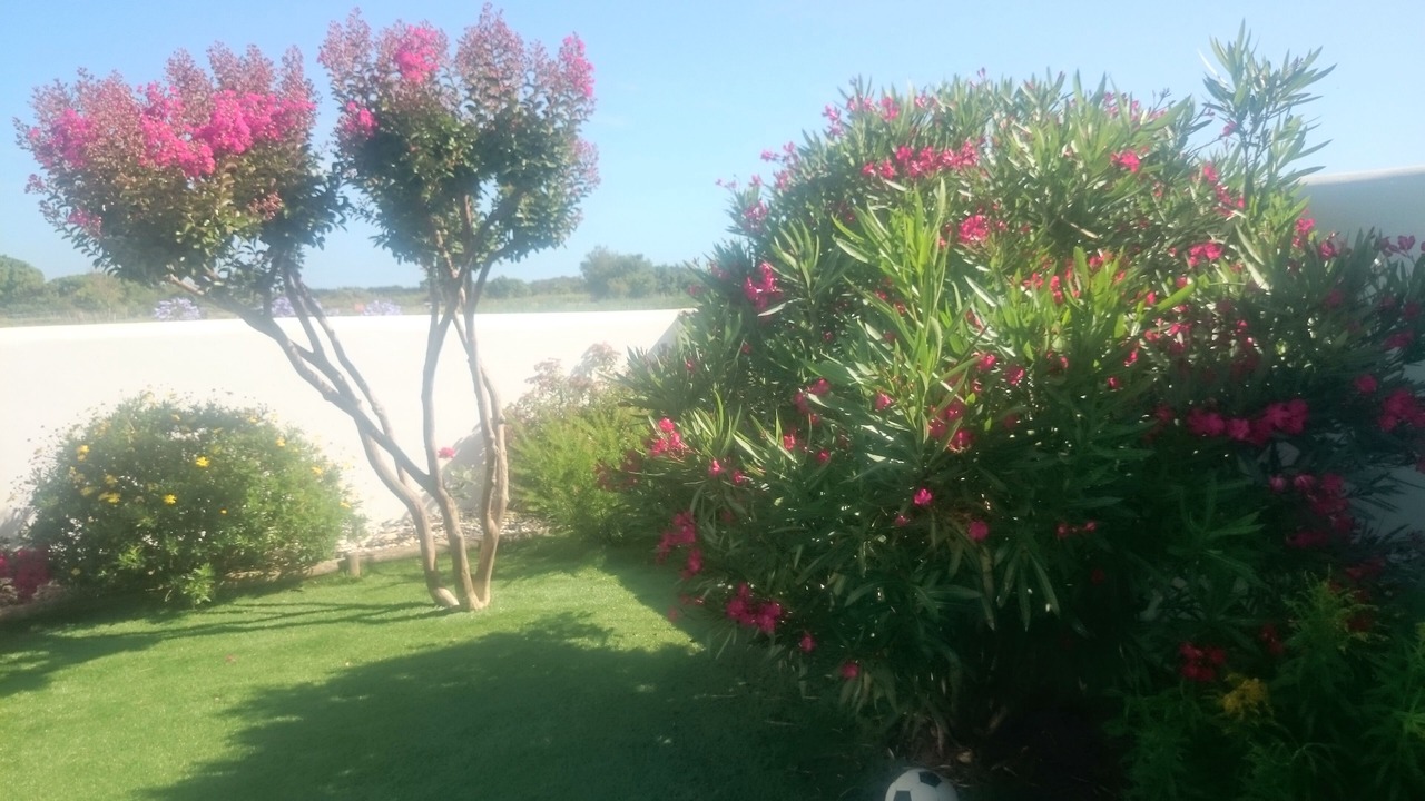 Photo of Outdoor in Cheray