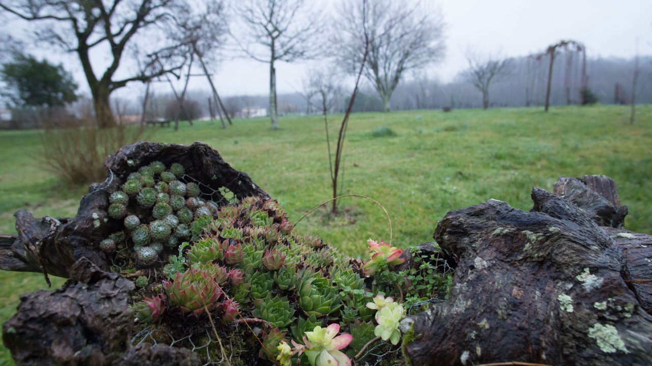 Photo of Outdoor in Genissac