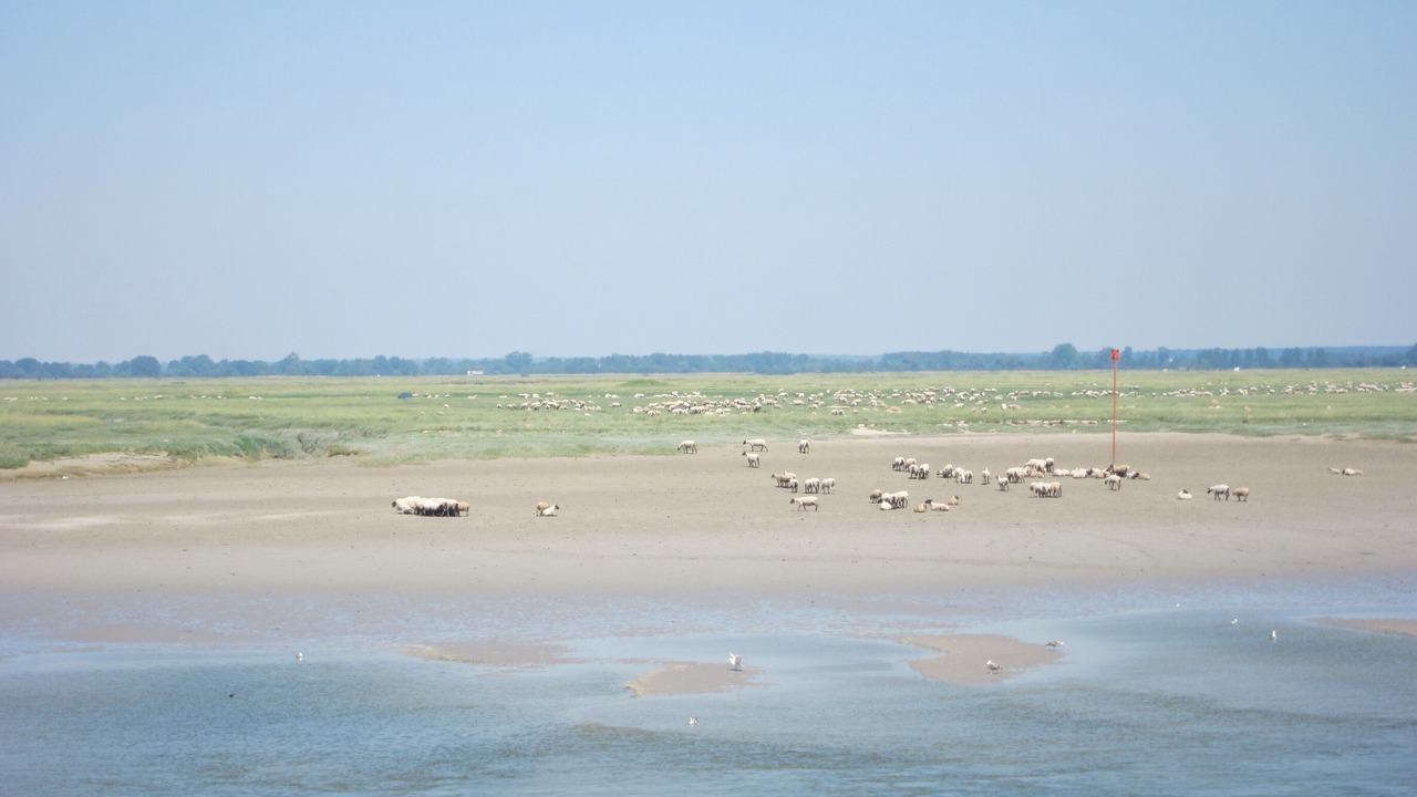 Photo of Others in Cayeux-sur-Mer