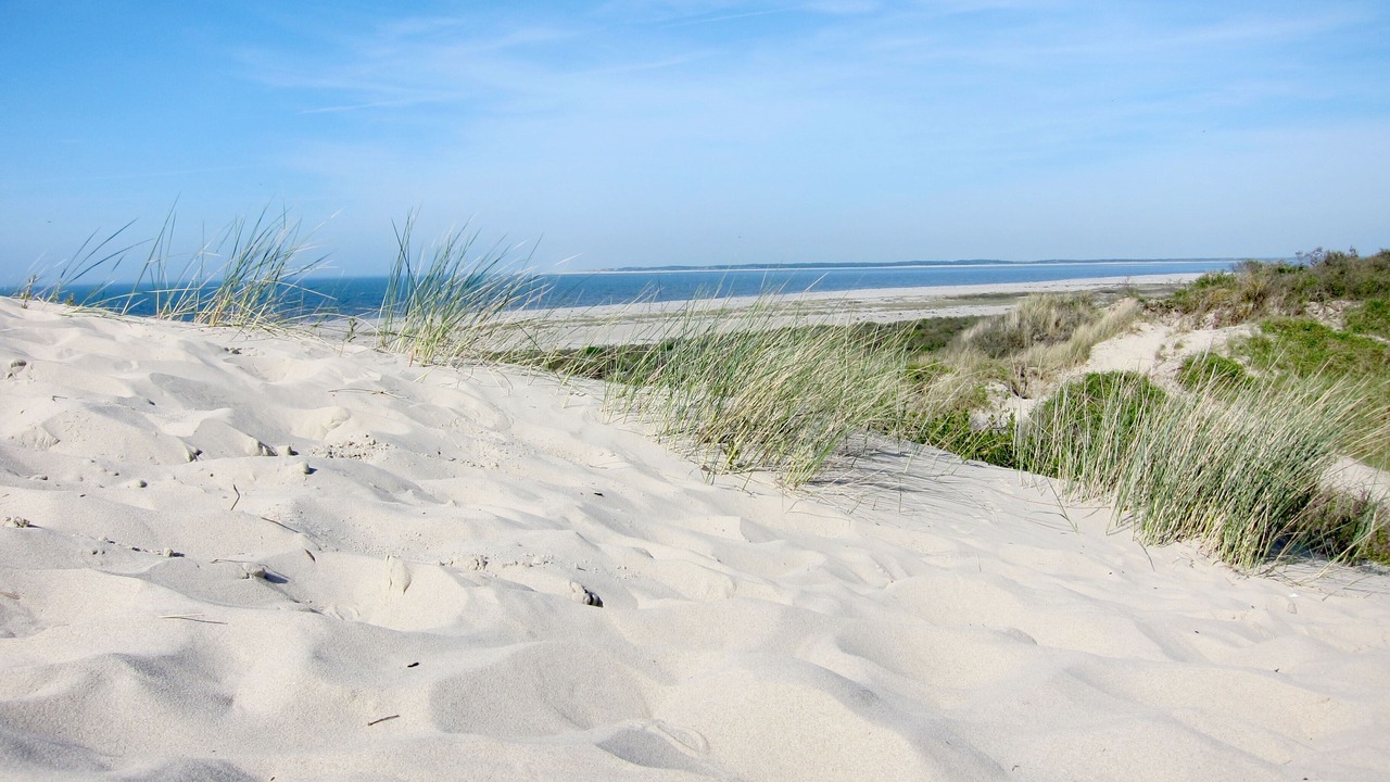 Photo of Others in Cayeux-sur-Mer
