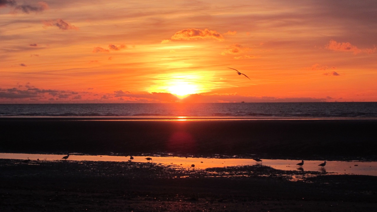 Photo of Others in Cayeux-sur-Mer